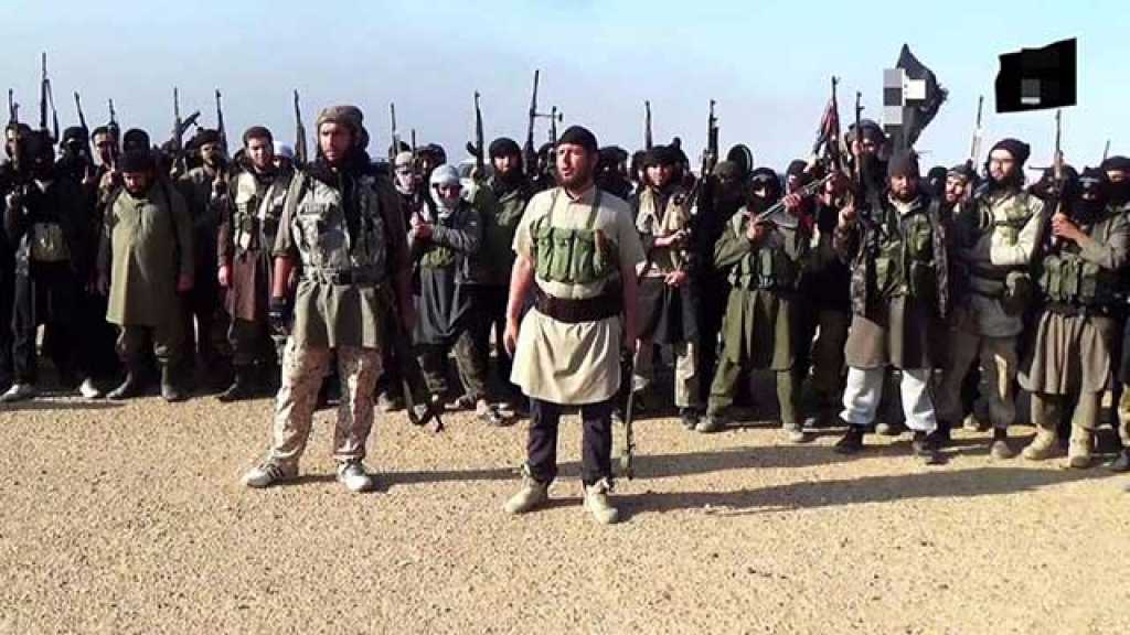 &rsquo;الذئاب المنفردة&rsquo;.. هل تتمكن أوروبا من مواجهتها؟