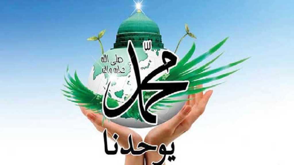 الوحدة الإسلامية.. الفكرة ـ المشروع