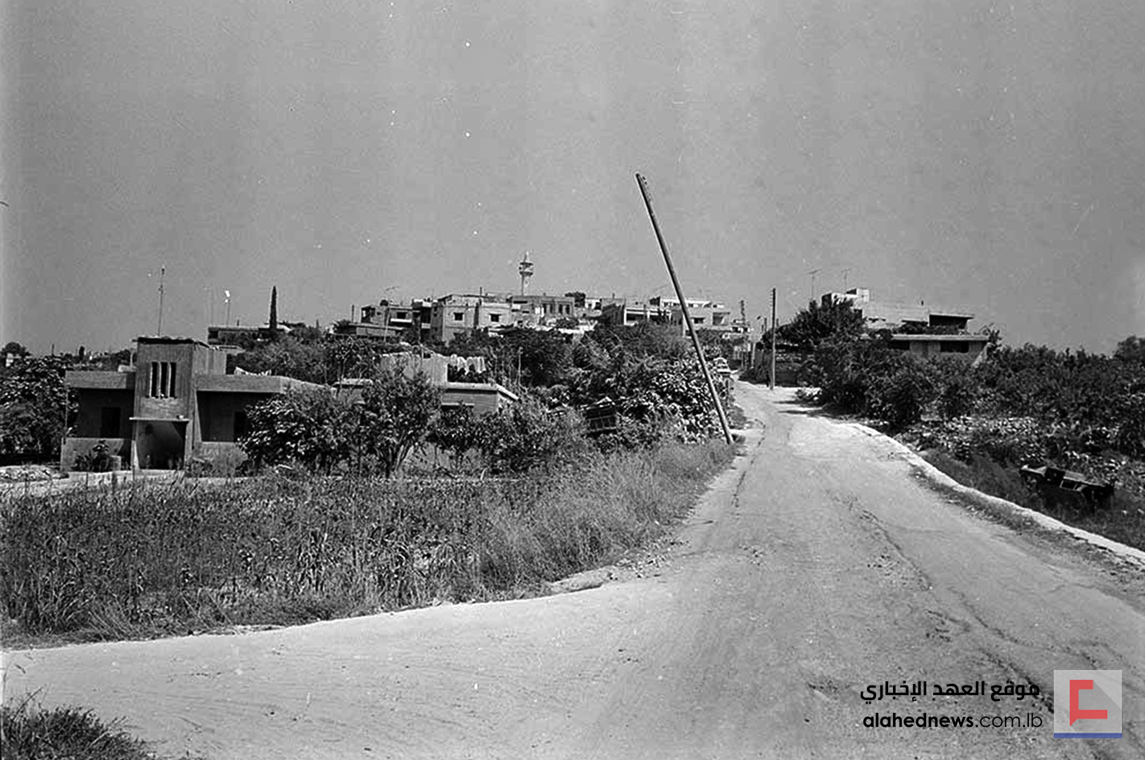 ذات نيسان.. علي قاد سيارته مفتدياً بنفسه كل لبنان - بالصور