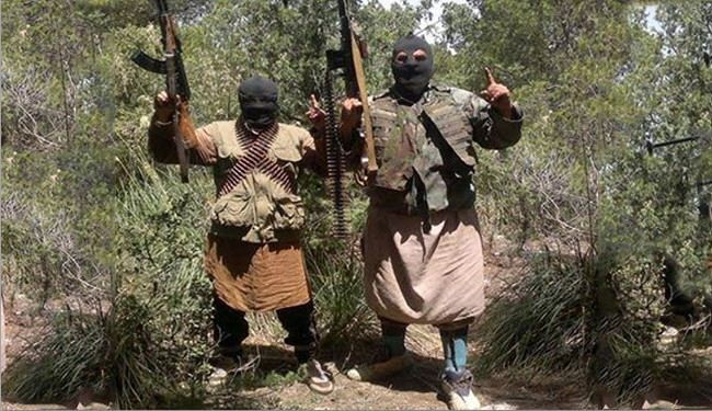 هجوم عين سلطان...من هي كتيبة ’عقبة بن نافع’؟